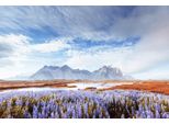 Fototapete Papermoon "Island-Ansicht", Bunt, B:4M L:2,6M, Vlies, Tapeten