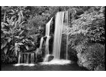 Fototapete Papermoon "Schwarzweiss-Wasserfall", Bunt, B:4M L:2,6M, Vlies, Tapeten