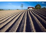 Fototapete papermoon "Feld", Bunt, B:3,5M L:2,6M, Vlies, Tapeten