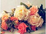 Fototapete Papermoon "Vintage Rosen", Bunt, B:3,5M L:2,6M, Vlies, Tapeten