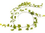 KüNstliche Zimmerpflanze BOTANIC-HAUS "Weinlaubgirlande", GrüN, B:10Cm H:180Cm T:10Cm Ø:10Cm, Kunststoff, Kunstpflanzen, KüNstliche Zimmerpflanze