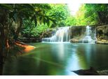 Fototapete Papermoon "Kleiner Regenwald Wasserfall", Bunt, B:5M L:2,8M, Vlies, Tapeten