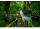 Fototapete Papermoon "Tropischer WALD-BAUM Dschungel Sonne Weg Wasserfall", Bunt, B:3,5M L:2,6M, Vlies, Tapeten