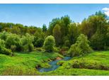 Fototapete Papermoon "Fluss Im WALD-BAUM Natur Dschungel Sonne Weg Wasserfall", Bunt, B:4,5M L:2,8M, Vlies, Tapeten