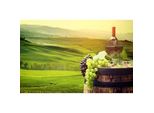 Fototapete PAPERMOON WEINBAU-WEIN TRAUBEN FELD WIESE WEIN SONNE LANDSCHAFT, bunt, B:4m L:2,6m, Vlies, Tapeten