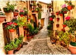 Fototapete Papermoon "Alley In Spello Umbria", Bunt, B:3,5M L:2,6M, Vlies, Tapeten