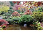Fototapete papermoon "Teich Im Garten", Bunt, B:3,5M L:2,6M, Vlies, Tapeten