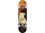Skateboard PLAYLIFE Mighty Bear, bunt (mehrfarbig), Skateboards, Kinder