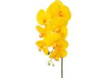 Kunstorchidee Creativ Green "Orchidee Phalaenopsis", Gelb, H:76Cm, Kunstpflanzen, Mit Real-Touch-BlüTen