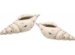 Dekoschale I.Ge.A. "Keramik-Schale Muschel", Beige (Natur), B:33Cm H:10Cm T:13Cm, Keramik, Dekoschalen