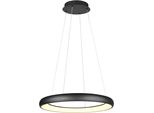 Trio Leuchten Led Pendelleuchte "Cardona, Led Ring HäNgeleuchte, 6900 Lumen 59W, Lichtfarbe Einstellbar", Schwarz (Schwarz Matt), 1, Ø 75Cm H: 150Cm, 1 Stk., Leuchten, 2300/3000/4000K Warmweiß Bis Kaltweiß, 3 Stufen Dimmbar HöHe 150Cm Ø75, Led Pendelleuchte