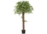Kunstpflanze Creativ Green "Ficus Benjamina", GrüN, H:175Cm, Kunststoff, Kunstpflanzen, Kunstpflanze, Mit Lianenartigem Stamm