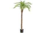 Kunstpalme Creativ Green "Macauba Palme", GrüN, H:175Cm, Kunststoff, Kunstpflanzen, Mit Hohem Stamm