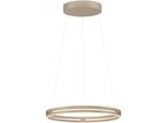 Neuhaus Pure LED Pendelleuchte "Pure E-Loop", Bronzefarben, 2, Ø 70Cm H: 40Cm, 1 Stk., Leuchten, E-Lift Funktion, Cct, Dimmbar üBer Fernbedienung, LED Pendelleuchte