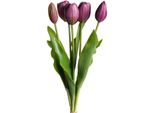 Kunstblume Otto Home "TulpenbüNdel Holland Real Touch", Lila (Aubergine), B:10Cm H:35Cm T:10Cm Ø:10Cm, Kunststoff, Kunstpflanzen