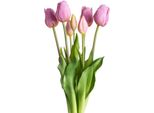 Kunstpflanze Otto Home "Maiva", Lila (Mauve), B:20Cm H:47Cm T:20Cm, Kunststoff, Kunstpflanzen, Kunstpflanze, TulpenbüNdel Im 7Er-Set