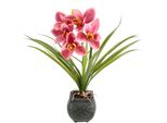 Kunstblume Otto Home "Orchidee", Rosa, B:35Cm H:40Cm L:25Cm, Polyester, Kunstpflanzen, Mit BläTter Im Topf Aus Zement KüNstliche Blume Cymbidium-Orchidee