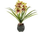 Kunstblume Otto Home "Orchidee", Bunt (GrüN, Rosa), B:35Cm H:40Cm L:25Cm, Polyester, Kunstpflanzen, Mit BläTter Im Topf Aus Zement KüNstliche Blume Cymbidium-Orchidee