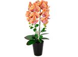 Kunstblume I.Ge.A. "Orchidee", Orange, B:26Cm H:58Cm L:18Cm, Kunstpflanzen, Im Topf Phalaenopsis Orchidee Phalaenopsis Mit ÜBertopf Hochzeit