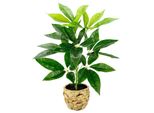 Kunstpflanze I.Ge.A. "Schefflera", GrüN, B:30Cm H:48Cm L:30Cm, Kunstpflanzen, Kunstpflanze, Mit ÜBertopf KüNstliche Seidenblumen