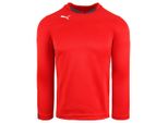 Puma v5.08 Buffon Torhüterhemd Langarm Red Mens Top 700489 24