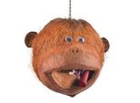 Java Papageienspielzeug Coco Monkey