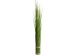 Kunstgras BOTANIC-HAUS "Grasarrangement Selbststehend", GrüN, B:13Cm H:120Cm T:13Cm Ø:13Cm, Kunststoff, Kunstpflanzen