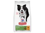 Hill's Science Plan Croquettes Pour Chien, Senior Vitality Medium Mature Adult, Au Poulet Et Au Riz 2X14 Kg