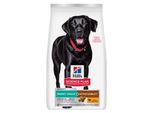 Hill's Croquettes Pour Chien Science Plan, Perfect Weight & Active Mobility, Grande Race Adulte, Au Poulet 2X12 Kg