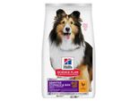 Hill's Science Plan, Aliment Sec Pour Chien Sensitive Stomach & Skin, Adulte Races Moyennes Et Grandes, Au Poulet 2X14 Kg