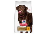 Hill's Croquettes Pour Chien Science Plan, Healthy Mobility, Grande Race Adulte, Au Poulet 2X14 Kg