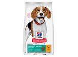 Hill's Science Plan Croquettes Pour Chien, Perfect Weight, Medium Adult, Au Poulet 2X12 Kg