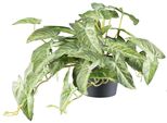 Kunstpflanze Creativ Green "Alocasia", GrüN (GrüNcreme), H:40Cm Ø:24Cm, Kunststoff, Kunstpflanzen, Kunstpflanze, Mit Naturgetreuem Blattwerk