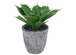 Kunstpflanze Creativ Green "Echeveria", GrüN, H:25Cm, Kunststoff, Kunstpflanzen, Kunstpflanze, Mit Naturgetreuem Blattwerk