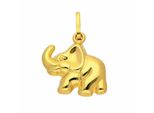 KettenanhäNger Adelia´s "Damen 333 Gold AnhäNger Elefant", Gold, SchmuckanhäNger, Damen, Gelbgold 333 Gold, Gelbgold 333, Gold, KettenanhäNger, Goldschmuck FüR Damen