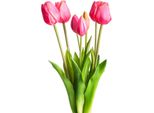 Kunstblume BOTANIC-HAUS "TulpenbüNdel", GrüN, B:20Cm H:47Cm T:20Cm Ø:20Cm, Kunststoff, Kunstpflanzen