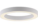 Neuhaus Pure Led Deckenleuchte "Pure Lines Round", Snow, 1, Ø 35Cm H: 3,9Cm, 1 Stk., Leuchten, Stufenlos Dimmbar üBer Fernbedienung, Cct, Led Deckenleuchte