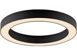 Neuhaus Pure Led Deckenleuchte "Pure Lines Round", Graphite, 1, Ø 35Cm H: 3,9Cm, 1 Stk., Leuchten, Stufenlos Dimmbar üBer Fernbedienung, Cct, Led Deckenleuchte