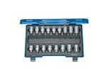 Gedore Itx 19 TX-017 Schraubendreher-Satz 1/2" 17-Teilig Innen+AußEn-Tx (6129520)"