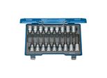Gedore Itx 19 Lkp Schraubendreher-Satz 1/2" 18-Teilig Tx T20-60 (6138510)"