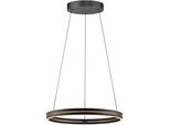 Neuhaus Pure LED Pendelleuchte "Pure E-Loop", Oak, Schwarz Pearl, 2, Ø 70Cm H: 40Cm, 1 Stk., Leuchten, E-Lift Funktion, Cct, Dimmbar üBer Fernbedienung, LED Pendelleuchte