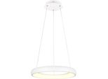 Trio Leuchten LED Pendelleuchte "Cardona, LED Ring HäNgeleuchte, 4400 Lumen 38W, Lichtfarbe Einstellbar", Weiß (Weiß Matt), 1, Ø 62Cm H: 150Cm, 1 Stk., Leuchten, 2300/3000/4000K Warmweiß Bis Kaltweiß, 3 Stufen Dimmbar HöHe 150Cm Ø62, LED Pendelleuchte