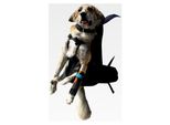 Hunderucksack T2 für Hunde von 9 bis 16 kg als Hundetrage/Hundetasche mit integriertem Wanderrucksack/Leg Free Hundetransport