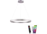 LED Pendelleuchte "Q-VITO", Stahlfarben, 1, Ø 79,4Cm, 1 Stk., Neuhaus Q Smart Home Lights, Leuchten, LED Pendelleuchte