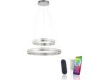 Led Pendelleuchte "Q-VITO", Stahlfarben, 1, Ø 59Cm, 1 Stk., Neuhaus Q Smart Home Lights, Leuchten, Led Pendelleuchte