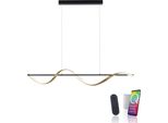 Led Pendelleuchte "Q-SWING", Anthrazit, 1, 1 Stk., Neuhaus Q Smart Home Lights, Leuchten, Led Pendelleuchte