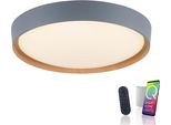 Led Deckenleuchte "Q-EMILIA", Grau, 1, Ø 49,6Cm, 1 Stk., Neuhaus Q Smart Home Lights, Leuchten, Led Deckenleuchte