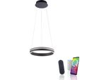 LED Pendelleuchte "Q-VITO", Anthrazit, 1, Ø 40Cm, 1 Stk., Neuhaus Q Smart Home Lights, Leuchten, LED Pendelleuchte