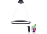 Led Pendelleuchte "Q-VITO", Anthrazit, 1, Ø 79,4Cm, 1 Stk., Neuhaus Q Smart Home Lights, Leuchten, Led Pendelleuchte