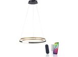Led Pendelleuchte "Q-BELUGA", Messingfarben Matt, 1, Ø 60Cm, 1 Stk., Neuhaus Q Smart Home Lights, Leuchten, Led Pendelleuchte